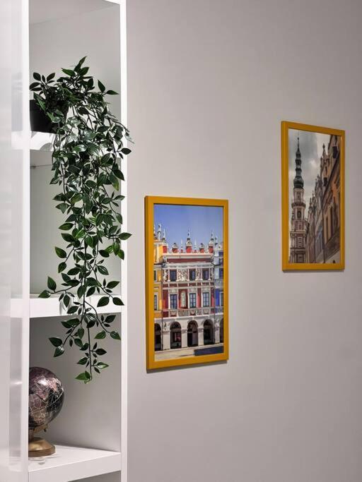 Apartament Zamojski Mlynska Zamość Exterior foto